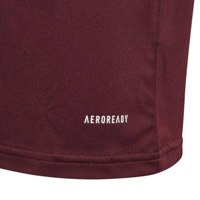 Adidas Kinderen/kinderen squadra 21 t-shirt UTPP2179_red large