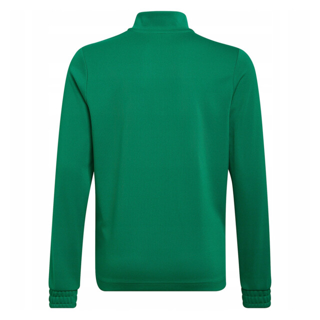 Adidas Kinder/kids entrada 22 sweatshirt met kwart ritssluiting UTPP2169_green large