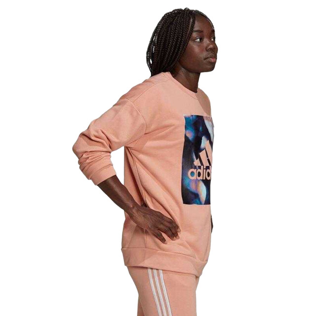 Adidas Dames youforyou sweatshirt UTPP2164_pink large
