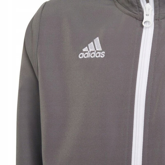 Adidas Kinder/kinder entrada 22 presentatiejasje UTPP2022_grey large