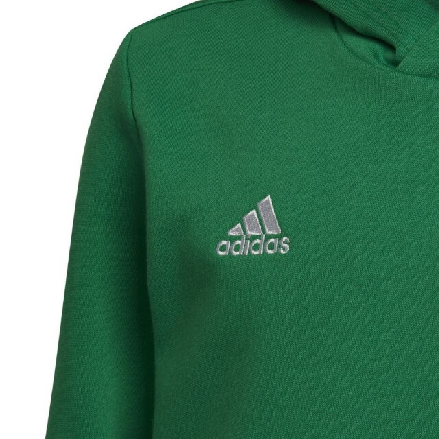 Adidas Kinderen/kinderen entrada 22 hoodie UTPP2001_green large