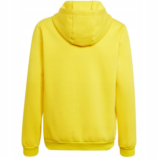 Adidas Kinderen/kinderen entrada 22 hoodie UTPP2001_yellow large