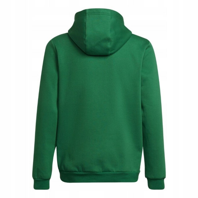 Adidas Kinderen/kinderen entrada 22 hoodie UTPP2001_green large
