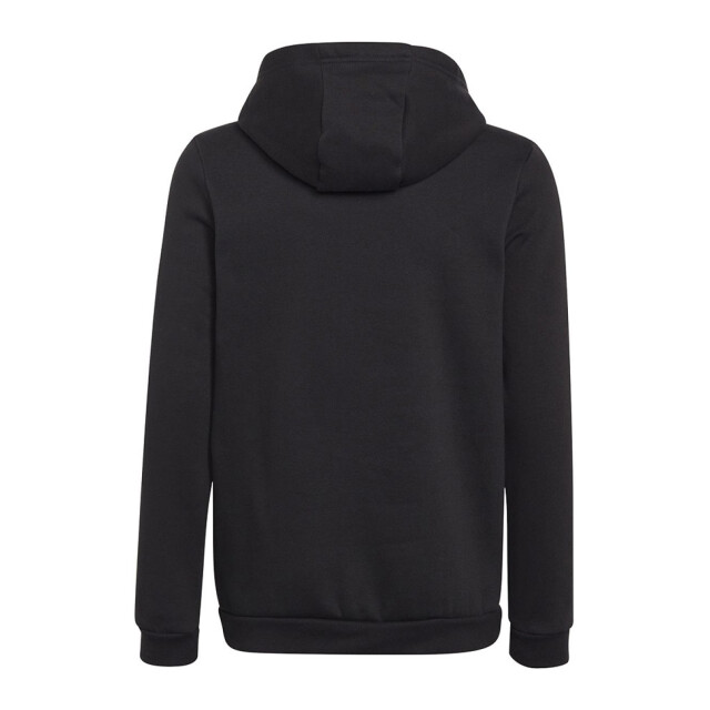 Adidas Kinderen/kinderen entrada 22 hoodie UTPP1959_black large
