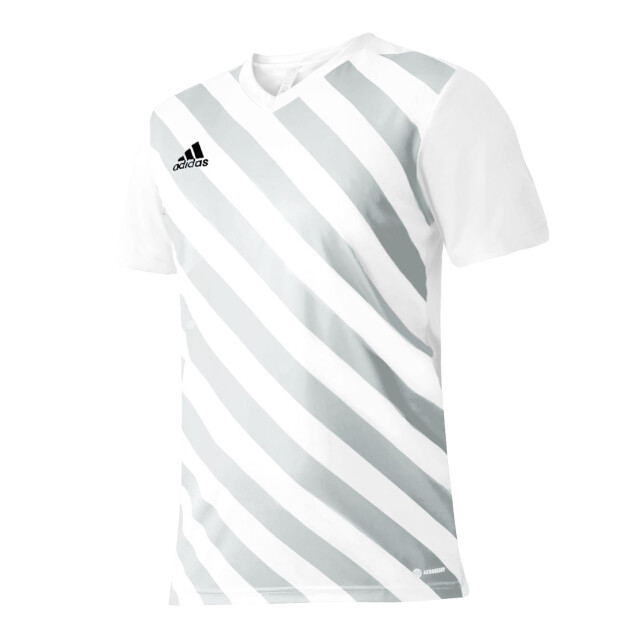 Adidas Heren entrada 22 grafische trui UTPP1969_white large