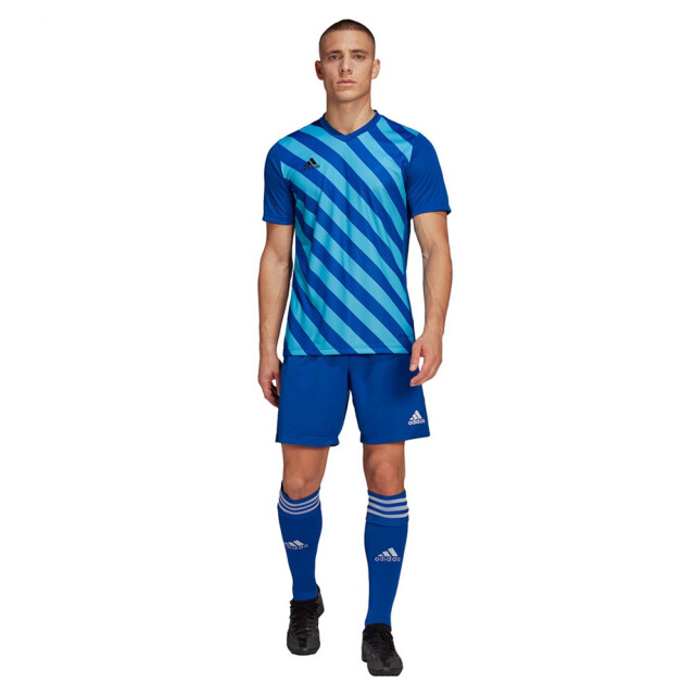 Adidas Heren entrada 22 grafische trui UTPP1969_blue large