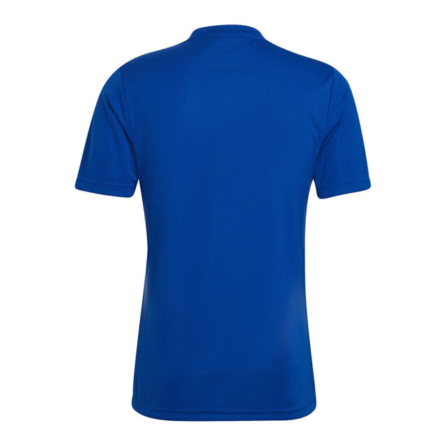 Adidas Heren entrada 22 grafische trui UTPP1969_blue large