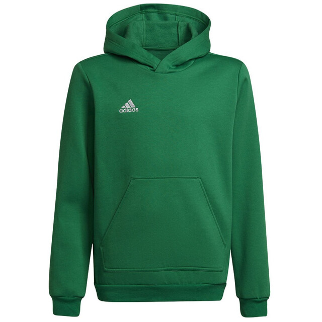 Adidas Kinderen/kinderen entrada 22 hoodie UTPP2001_green large