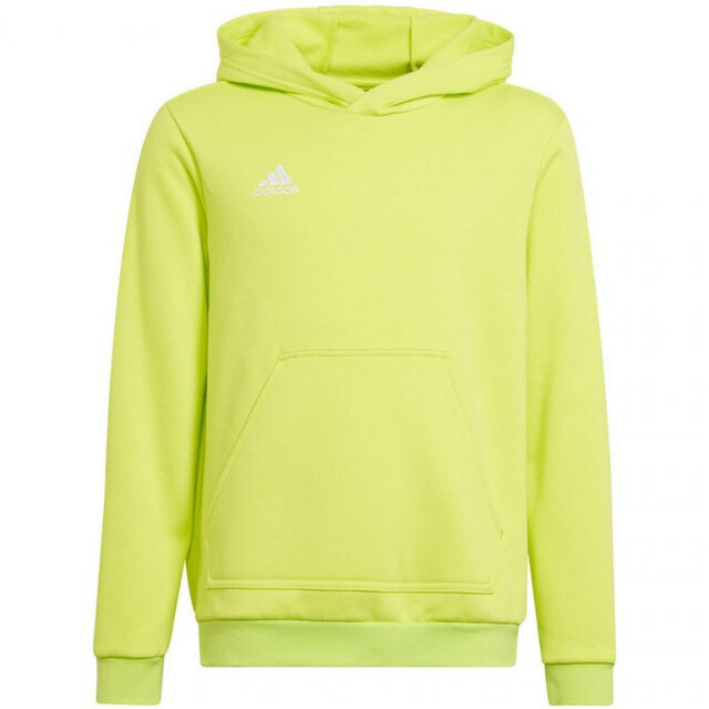 Adidas Kinderen/kinderen entrada 22 hoodie UTPP1932_green large
