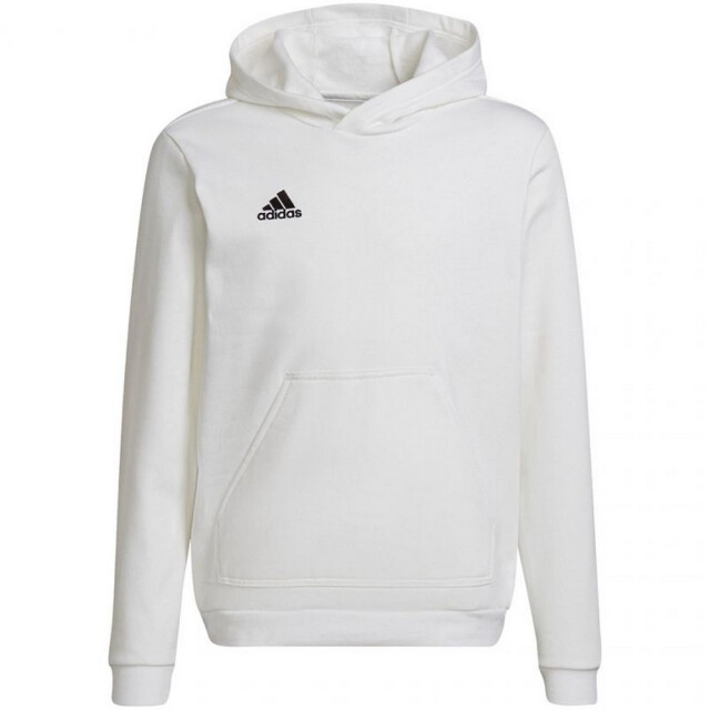 Adidas Kinderen/kinderen entrada 22 hoodie UTPP1932_white large
