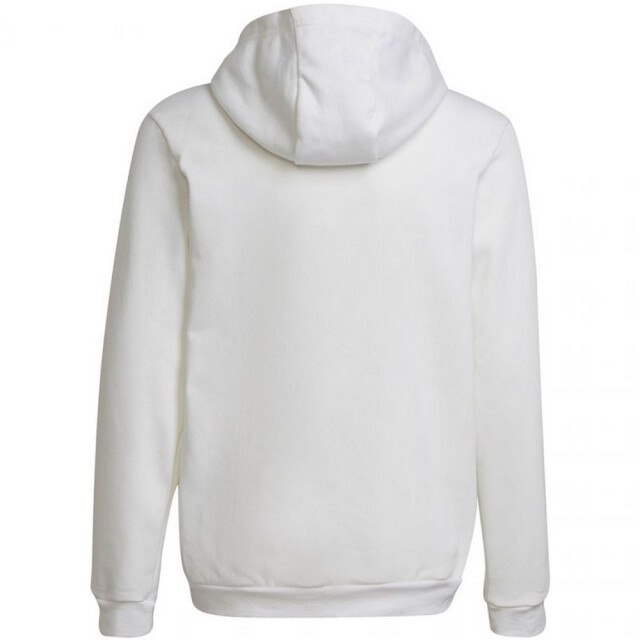 Adidas Kinderen/kinderen entrada 22 hoodie UTPP1932_white large