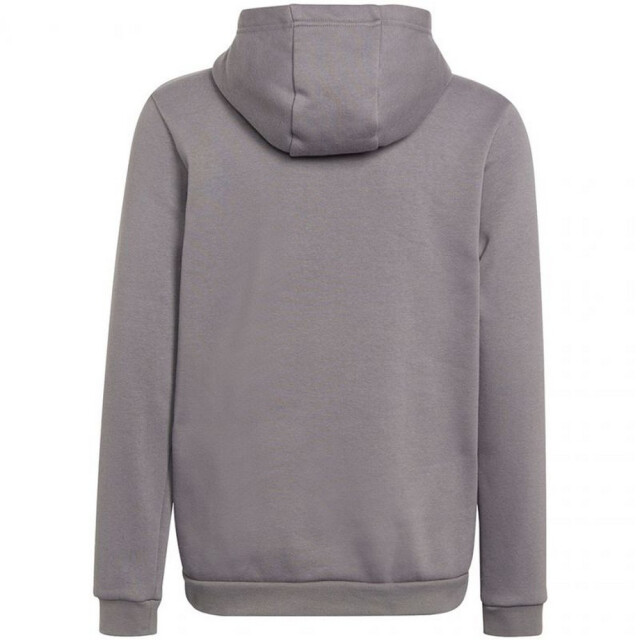 Adidas Kinderen/kinderen entrada 22 hoodie UTPP1932_grey large