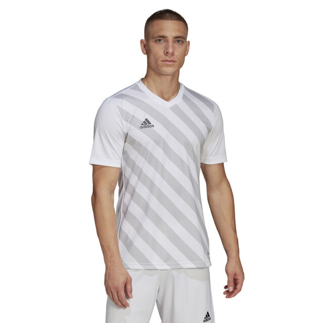 Adidas Heren entrada 22 grafische trui UTPP1969_white large