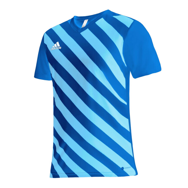 Adidas Heren entrada 22 grafische trui UTPP1969_blue large