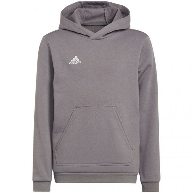 Adidas Kinderen/kinderen entrada 22 hoodie UTPP1932_grey large