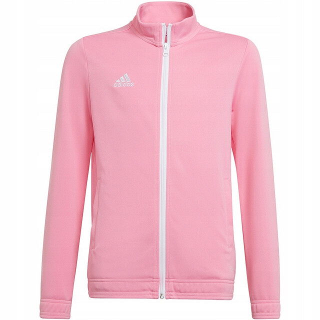 Adidas Kinder/kinder entrada 22 jas UTPP2073_pink large