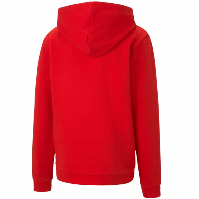 Puma Kinderen/kinderen teamgoal 23 hoodie UTPP1893_red large