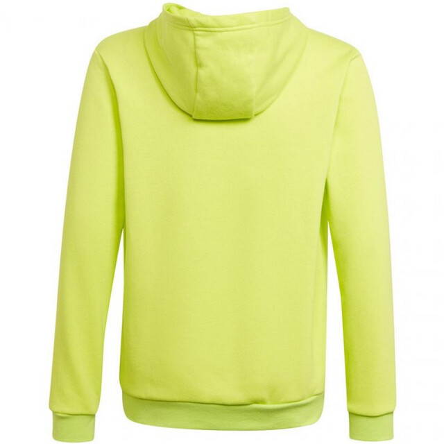 Adidas Kinderen/kinderen entrada 22 hoodie UTPP1932_green large
