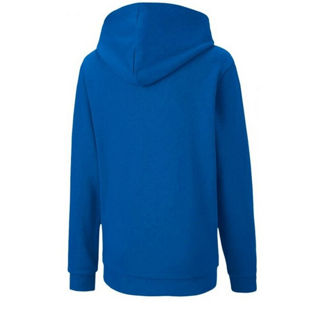 Puma Kinderen/kinderen teamgoal 23 hoodie UTPP1893_blue large