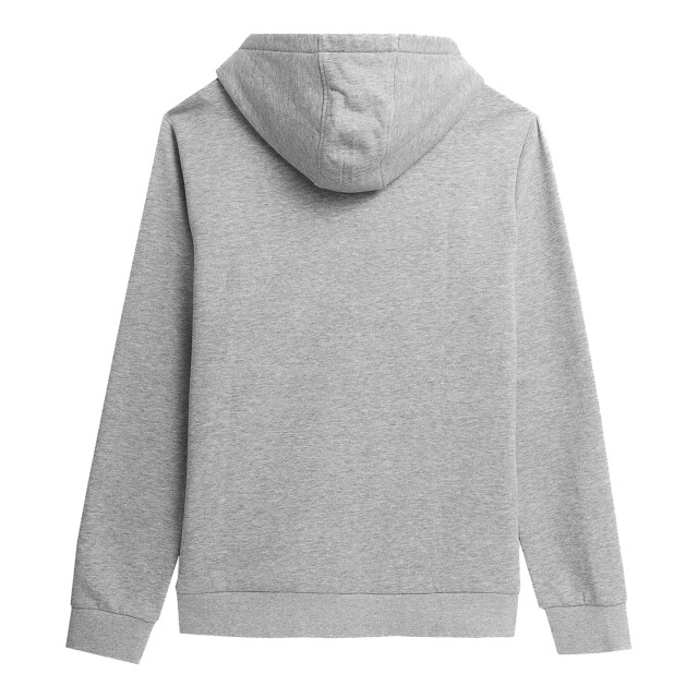 4F Heren ss23tswsm353 hoodie UTPP1829_coollightgrey large