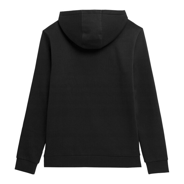 4F Heren ss23tswsm353 hoodie UTPP1829_black large