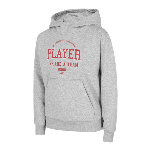 4F Kinderen/kleuters hjz22 jblm006 hoodie UTPP1713_coldlightgreymelange large