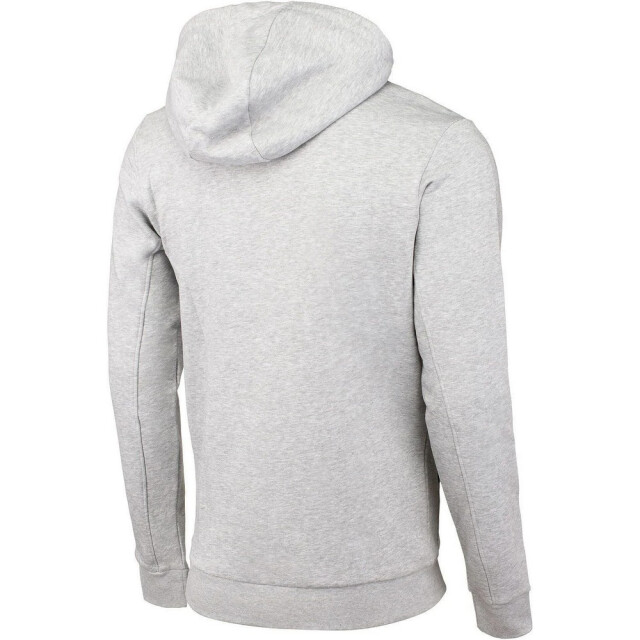 4F Heren h4l22 hoodie UTPP1264_grey large