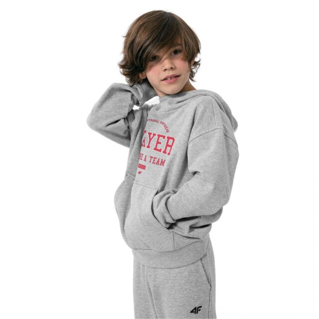 4F Kinderen/kleuters hjz22 jblm006 hoodie UTPP1713_coldlightgreymelange large