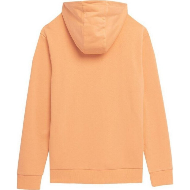 4F Heren ss23tswsm266 hoodie UTPP1684_beige large