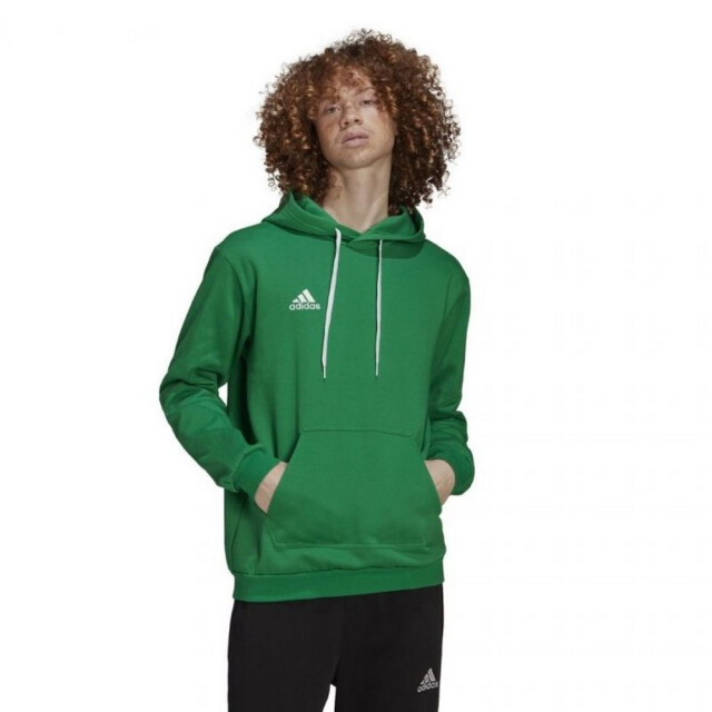 Adidas Heren entrada 22 hoodie UTPP1511_green large