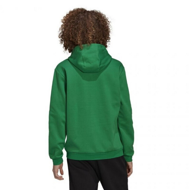 Adidas Heren entrada 22 hoodie UTPP1511_green large