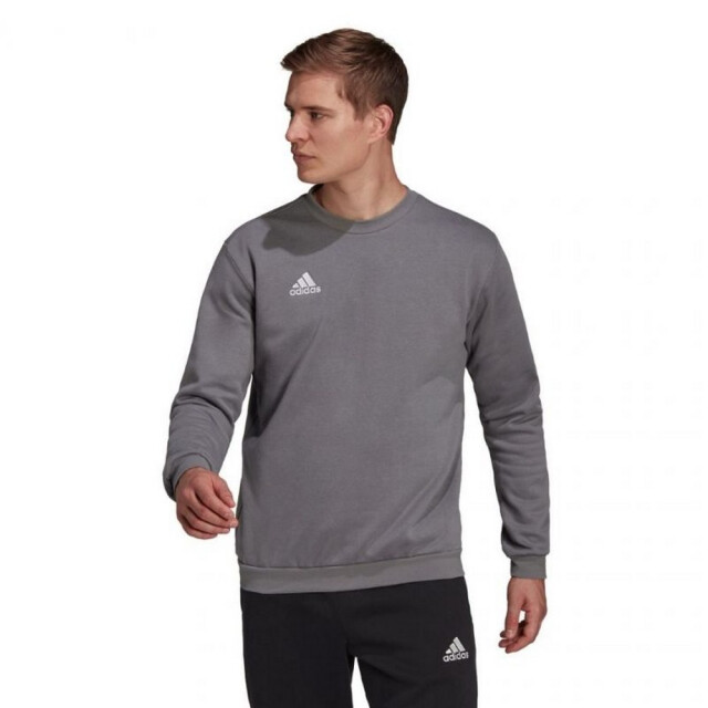 Adidas Heren entrada 22 sweatshirt UTPP1509_grey large