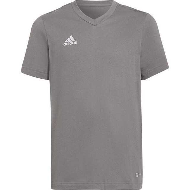 Adidas Kinderen/kinderen entrada 22 t-shirt UTPP1393_grey large