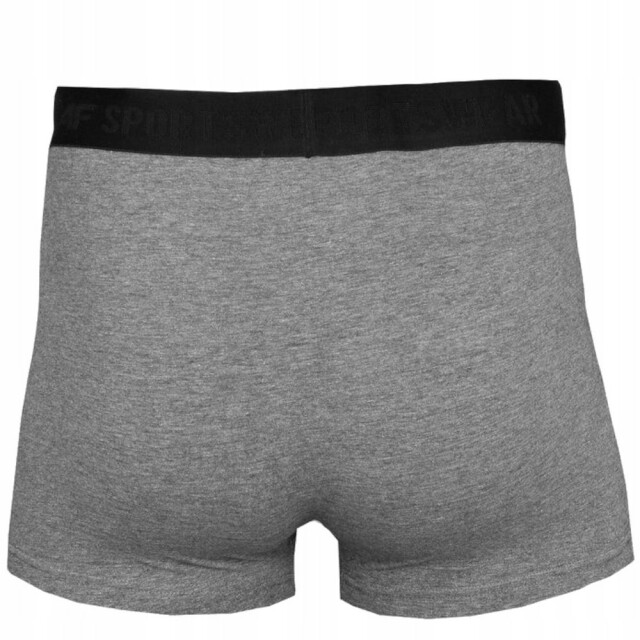 4F Heren boxershorts UTPP144_greysilver large