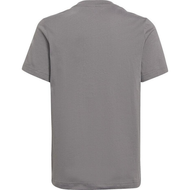 Adidas Kinderen/kinderen entrada 22 t-shirt UTPP1393_grey large