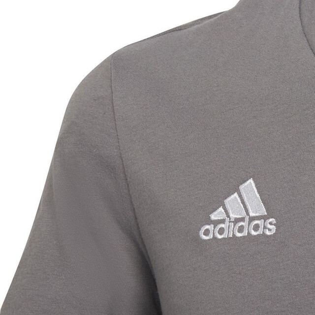 Adidas Kinderen/kinderen entrada 22 t-shirt UTPP1393_grey large