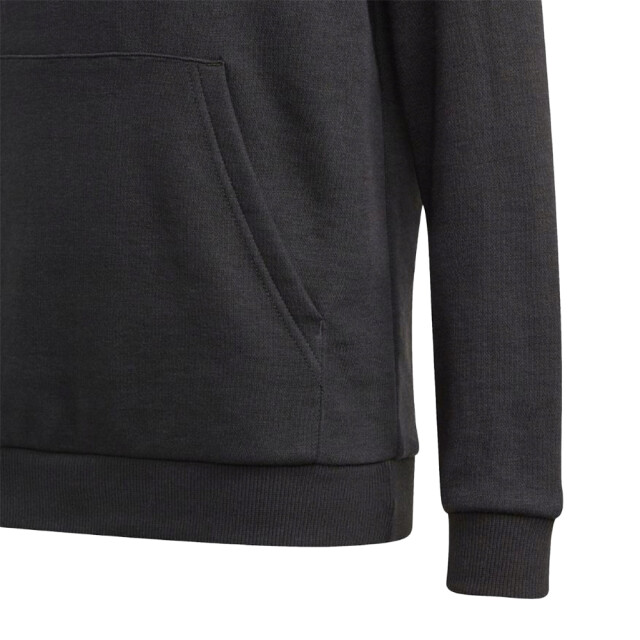 Adidas Kinder/kids essentials hoodie UTPP1358_black large