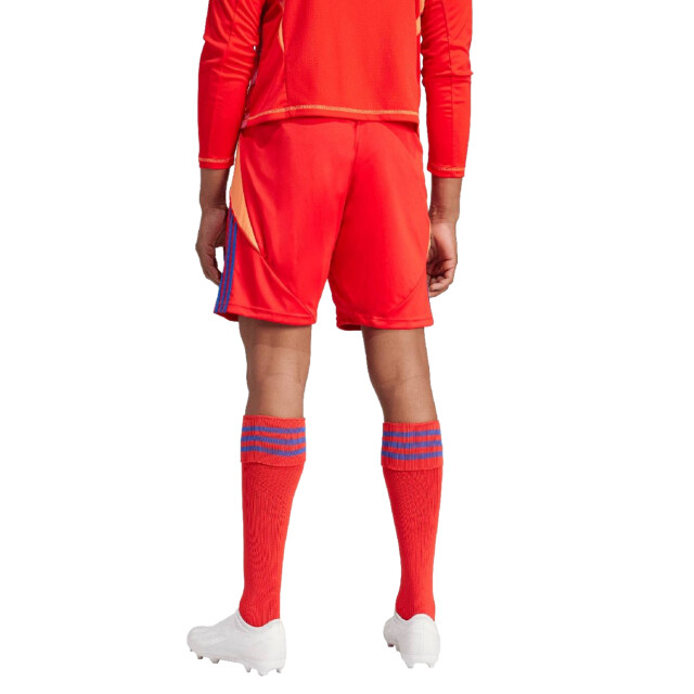 Adidas Heren tiro 24 korte broek UTPP1348_redblue large