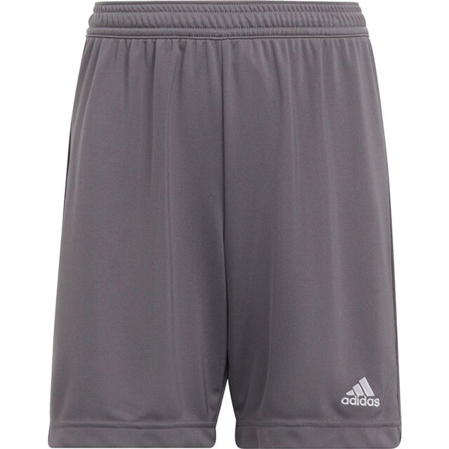 Adidas Kinderen/kinderen entrada 22 korte broek UTPP1321_greysilver large