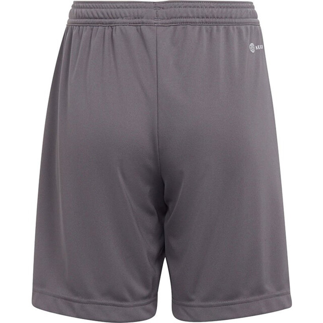 Adidas Kinderen/kinderen entrada 22 korte broek UTPP1321_greysilver large