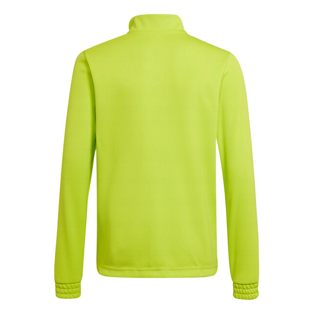 Adidas Kinderen/kinderen entrada 22 trainings sweatshirt UTPP1250_green large