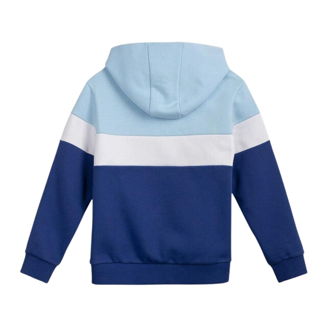 4F Kinderen/kleuters hjl22 jbld002 hoodie UTPP123_blue large
