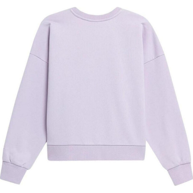 4F Dames h4l22 sweatshirt UTPP1201_violet large