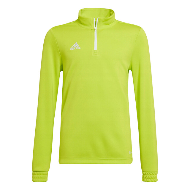 Adidas Kinderen/kinderen entrada 22 trainings sweatshirt UTPP1250_green large