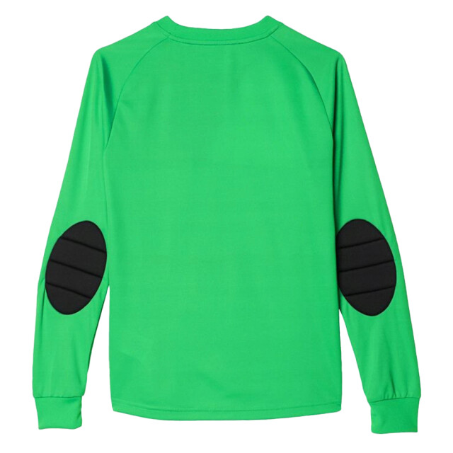 Adidas Kinder/kids assita 17 sweatshirt UTPP1361_green large