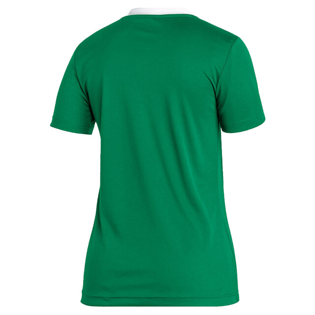 Adidas Dames entrada 22 jersey UTPP1110_green large