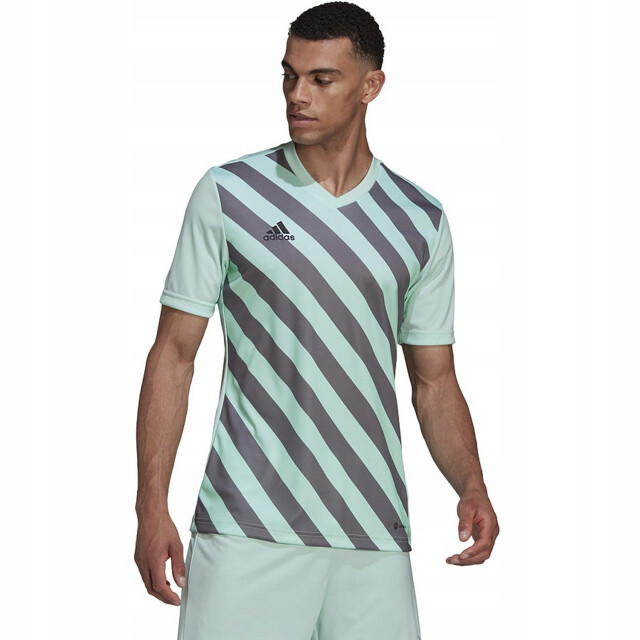 Adidas Heren entrada 22 grafische trui UTPP1150_green large