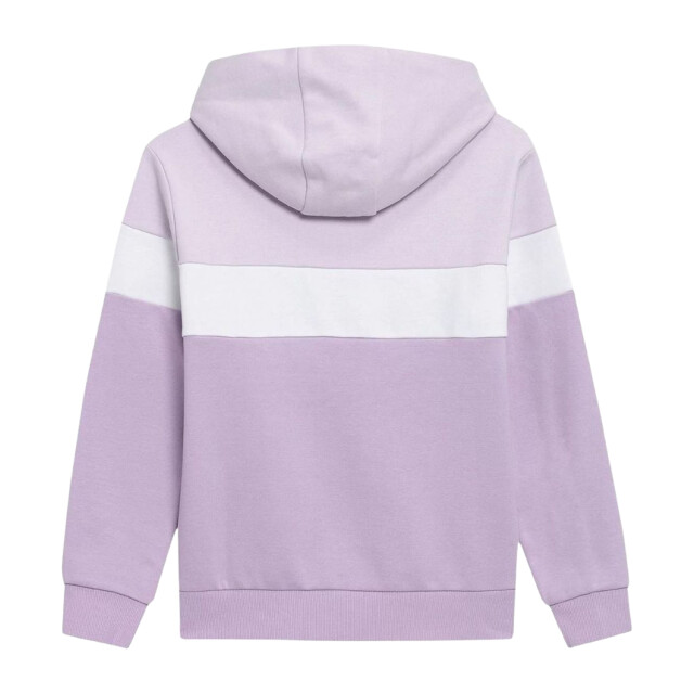 4F Kinderen/kleuters hjl22 jbld002 hoodie UTPP123_violet large