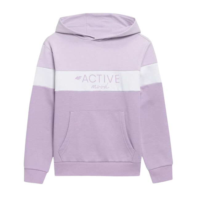 4F Kinderen/kleuters hjl22 jbld002 hoodie UTPP123_violet large