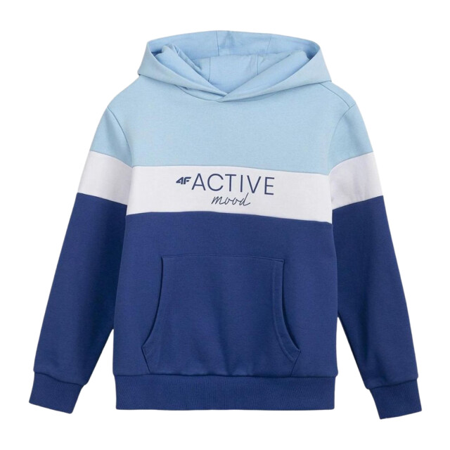 4F Kinderen/kleuters hjl22 jbld002 hoodie UTPP123_blue large